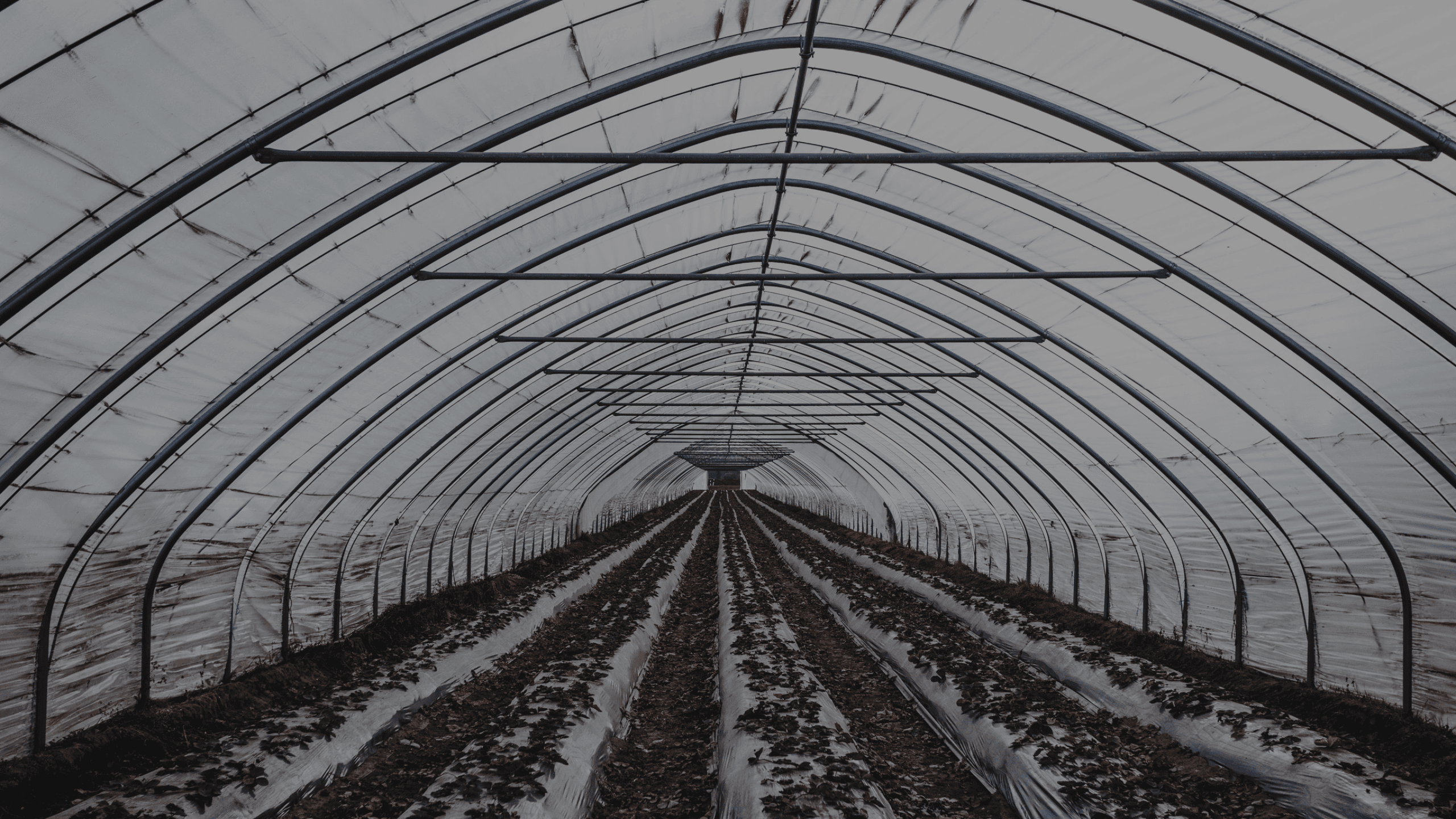 Agriculture:  Banner